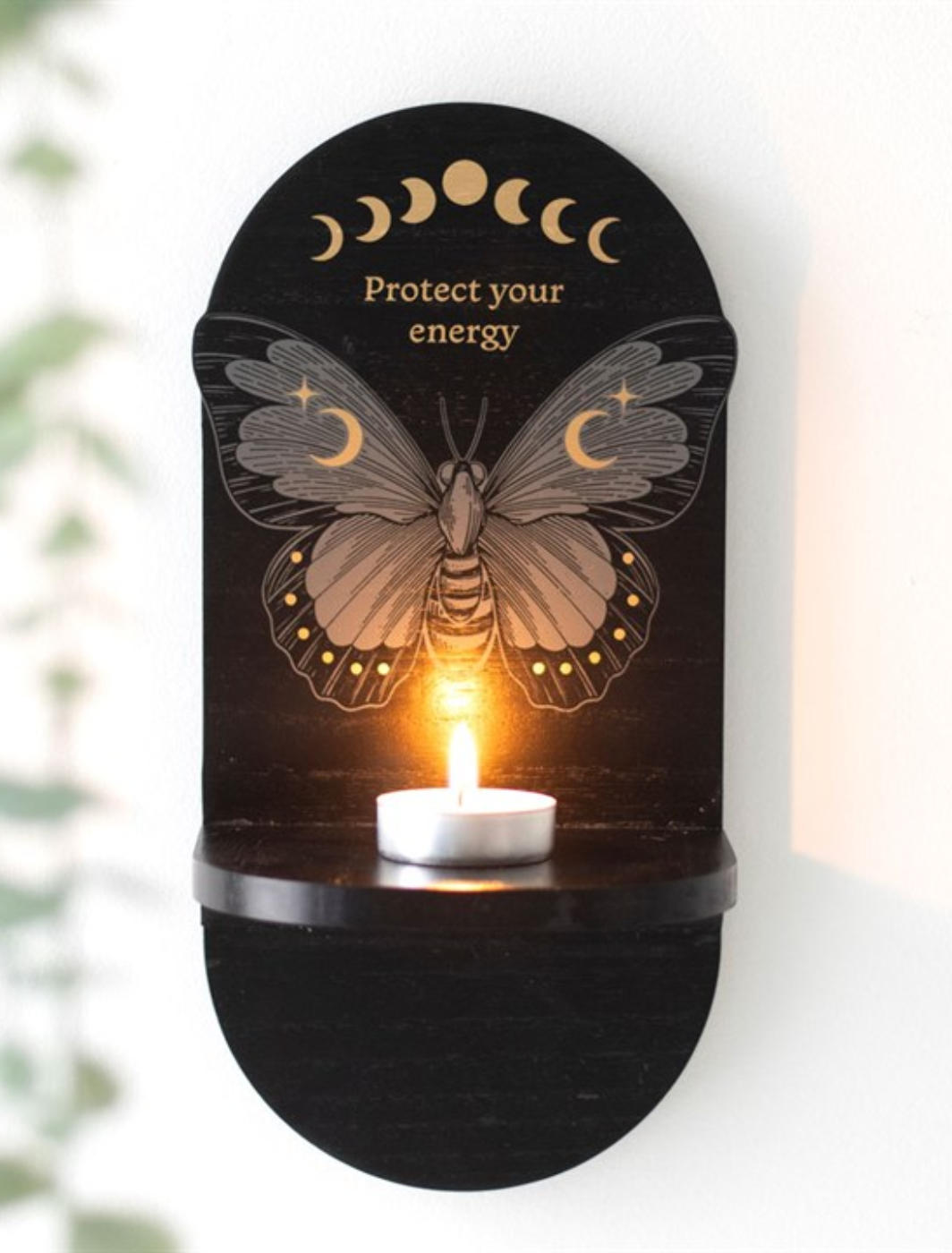 Mystical Black Moth Display Shelf